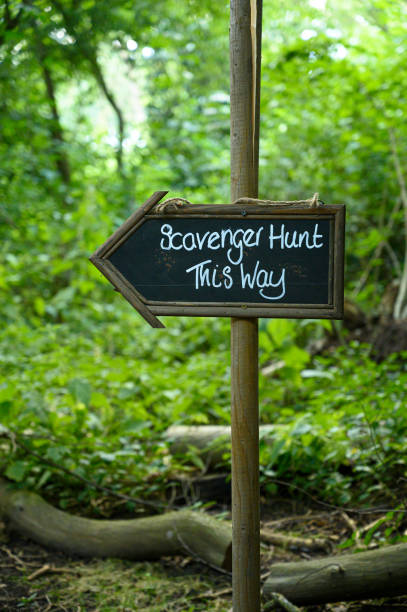 caza de carroñeros de esta manera señalizar en el exuberante bosque del bosque - scavenger hunt fotografías e imágenes de stock