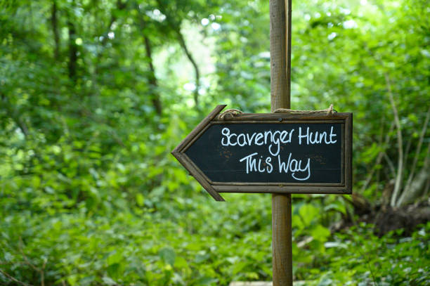 scavenger hunt this way signpost in lush forest woodland - directional sign wood sign footpath imagens e fotografias de stock