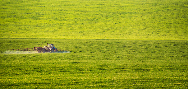 Tractor spraying pesticides on field with sprayer at summer