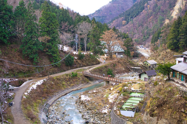 istock Monkey Park - Unique experience with the natural hot spring 1250113612