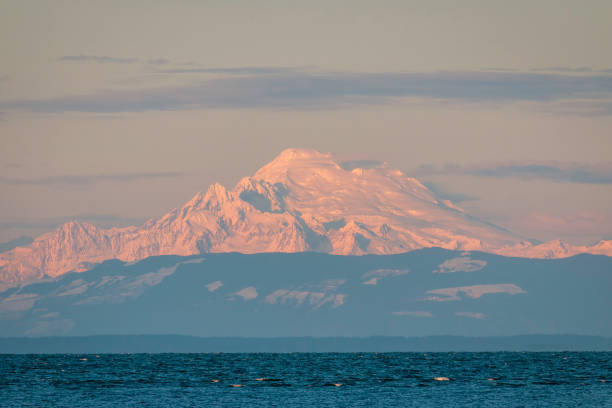istock Pastel pink cast of dusk on Mt Baker, Washingtom state, USA 1250115744