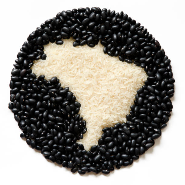 Map of Brazil Map of Brazil made of rice and beans on white background beans and rice stock pictures, royalty-free photos & images