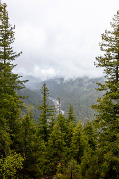 istock Mountain Forest with River and Fog in Distance 1250119760