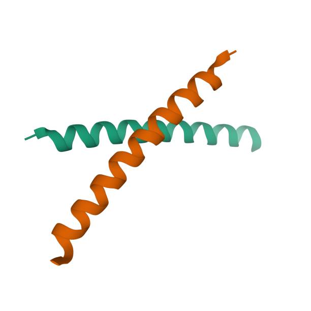 istock Crystal structure of human parathyroid hormone homodimer 1250123453