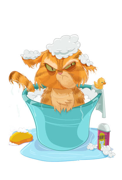 The Cat Bath Stock Illustration - Download Image Now - Wet, Domestic Cat,  Kitten - iStock