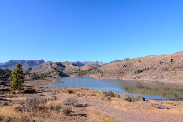 istock Dark Water Lake in Gran Canaria 1250131498