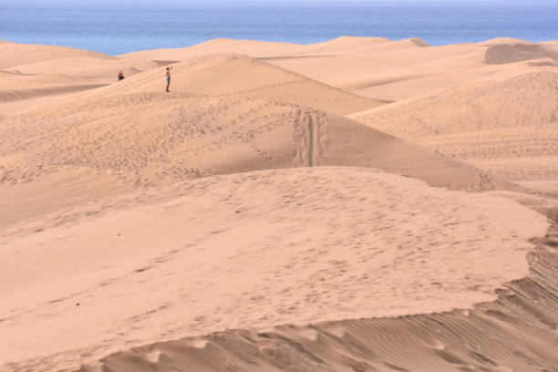 istock Desert with sand dunes in Gran Canaria Spain 1250131527