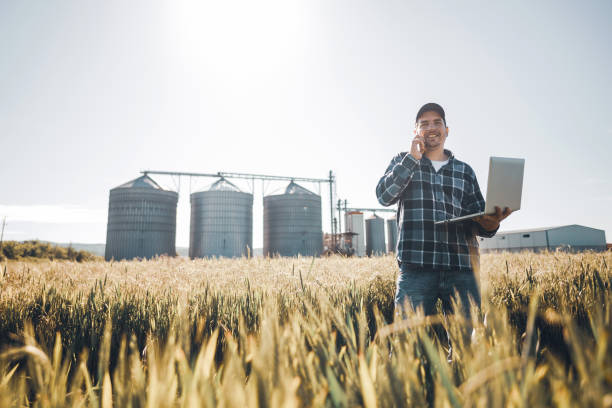 молодой современный фермер использовать ноутбук в пшеничном поле и говорить по телефону - farmer rural scene laptop computer стоковые фото и изображения