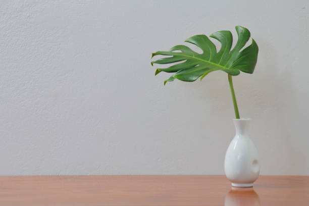 istock Blank wall with Monstera leaf in vase, Indoor plant mockup 1250149318