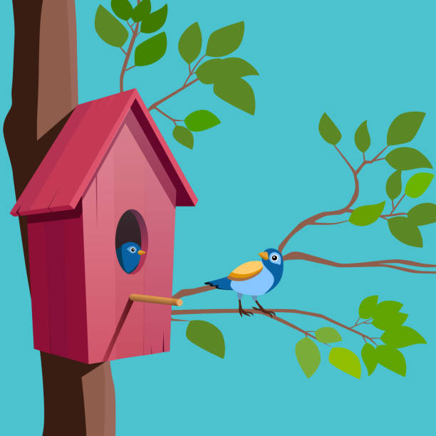 dom ptaków i ptaki na drzewie - birdhouse stock illustrations