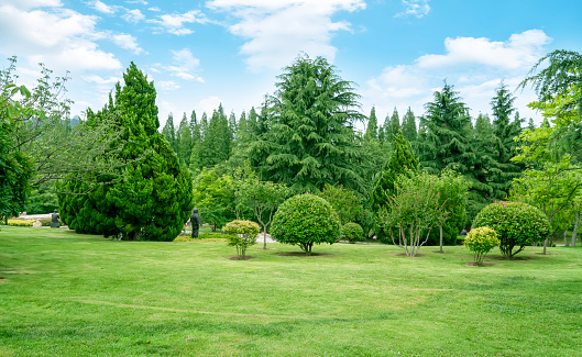 Park, lake, lawn, green forest