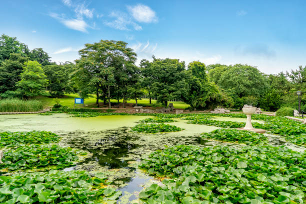 istock Park, lake, lawn, green forest 1250162804