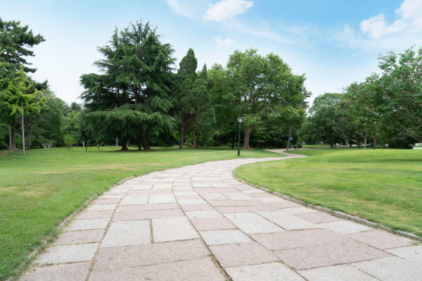 istock Park, lake, lawn, green forest 1250162820
