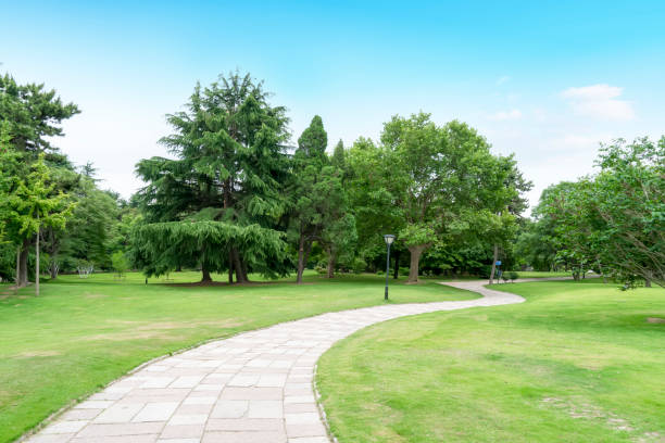 istock Park, lake, lawn, green forest 1250162824