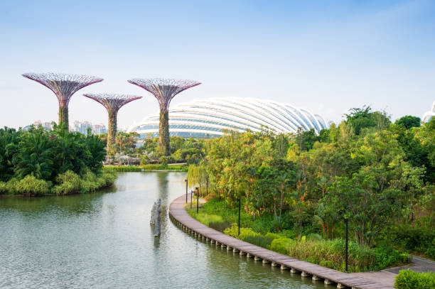 la célèbre vue de singapour sur le quartier de la baie de marina et le paysage urbain est une attraction touristique populaire dans le district de marina de singapour. - gardens by the bay photos et images de collection