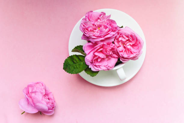 istock Flat lay. Three pink roses in a bowl on a pink background. Postcard template. Festive background. 1250172533