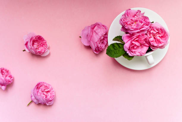 istock Three pink roses in a bowl on a pink background. Postcard template. Festive background. Flat lay 1250173894