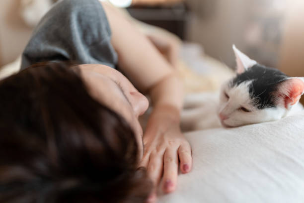 Cat and teenage girl relaxing on bed stock photo
