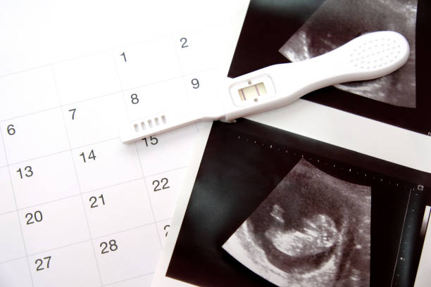 Positive white plastic pregnancy test and  calendar with ultrasound of baby in pregnant woman at three month. Positive white plastic pregnancy test and  calendar with ultrasound of baby in pregnant woman at three month. hormone photos stock pictures, royalty-free photos & images