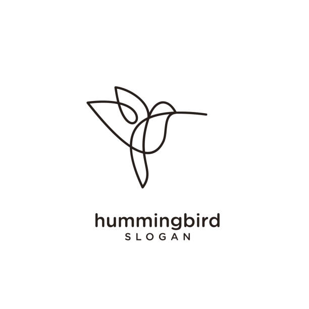 ilustraciones, imágenes clip art, dibujos animados e iconos de stock de línea de colibrí abstracto simple icono moderno fondo aislado - canturrear