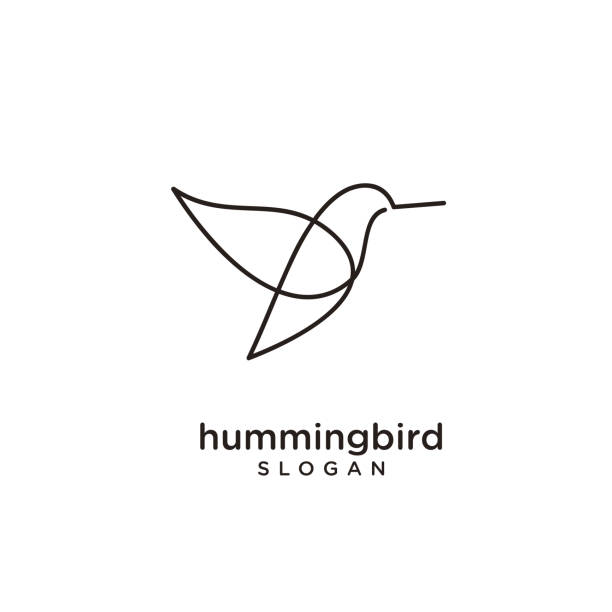 ilustraciones, imágenes clip art, dibujos animados e iconos de stock de línea de colibríes abstracto simple moderno fondo negro aislado moderno - canturrear