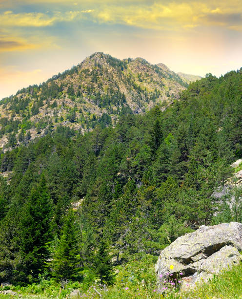 istock Mountain forest landscape under evening sky with clouds in sunlight. The concept is travel. 1250178355