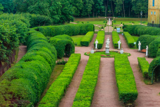 estatua de mármol de la diosa flora rodeada de baccantes de mármol y sátiros en el jardín privado del palacio de gatchina, rusia. vista desde arriba - statue architecture sculpture formal garden fotografías e imágenes de stock