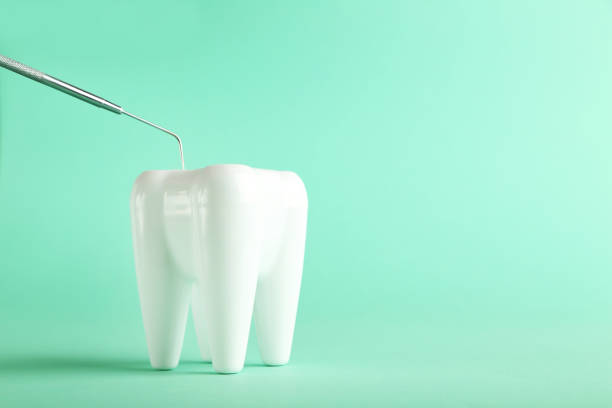 istock Teeth model with dental instrument on green background 1250181675