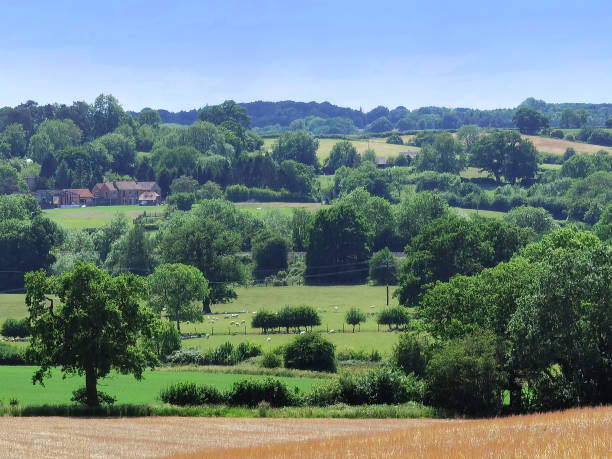 istock field farm agriculture  warwickshire midlands england uk 1250181827