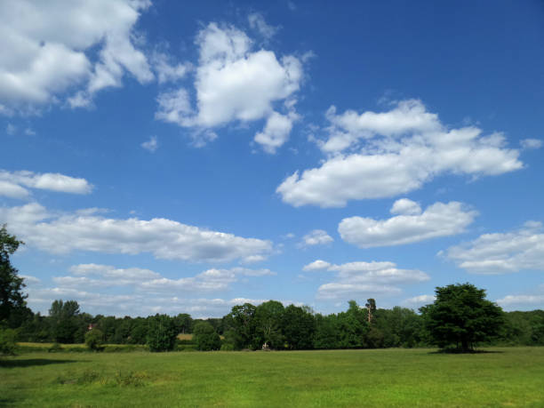 istock field farm agriculture  warwickshire midlands england uk 1250181829