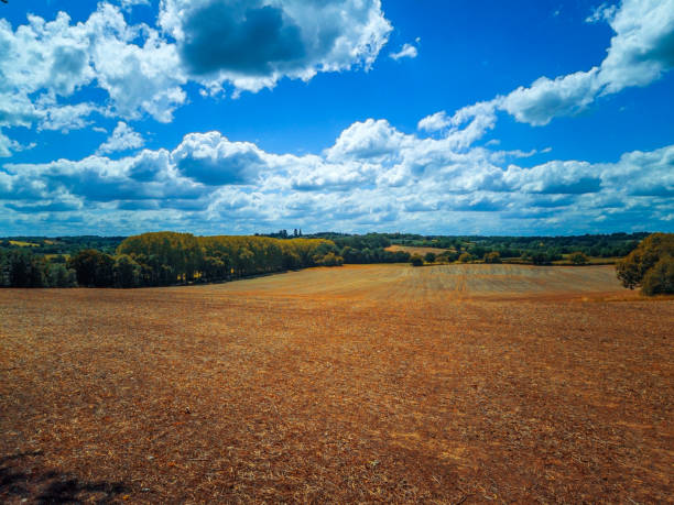 barren farm field with bright sky, square frame (XXXL)