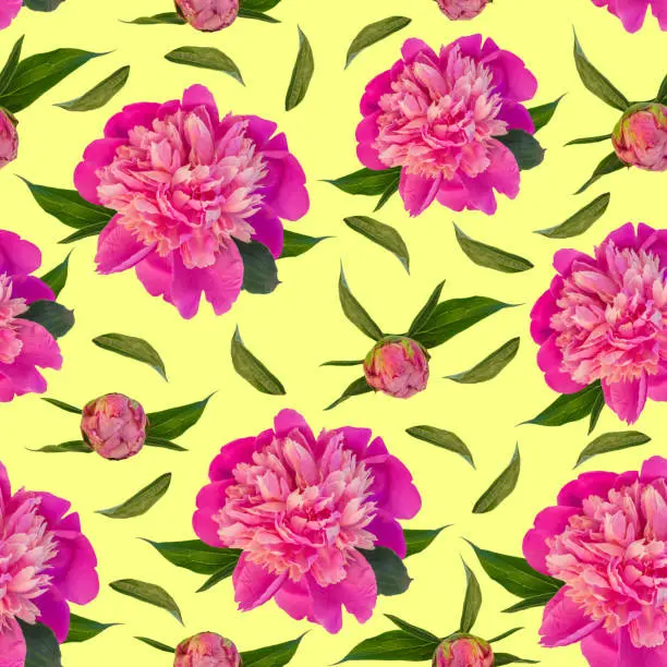 Pink peony flowers seamless pattern on yellow background. Beautiful blooming head for textile, website floral design. Rose colored Paeonia lactiflora plants with green leaves. Colorful peonies petals.