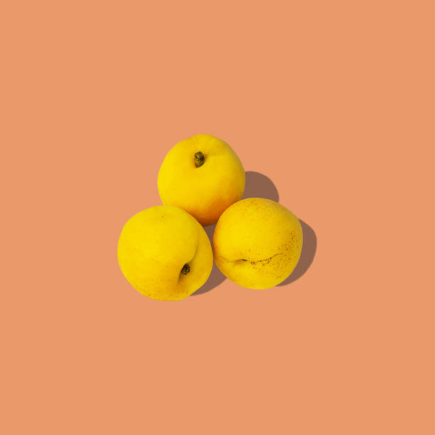 istock Apricots with shadow flat lay on pastel peach background. Creative layout of fresh orange summer fruits pop art concept. 1250186960