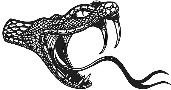 Illustration of head of poisonous snake in engraving style. Design element for label, emblem, sign, badge. Vector illustration