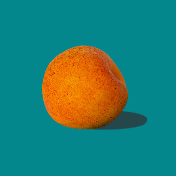 istock One apricot with hard shadow on pastel turquoise background in minimal style. Design pop art style concept. 1250187866