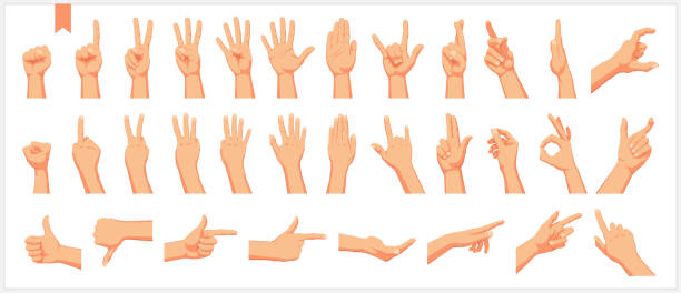 흰색 배경에 사실적인 인간의 손, 표지판 과 제스처, 인물과 손가락 움직임의 집합은 흰색 배경에 격리 된 벡터 그림 - number 1 human hand sign index finger stock illustrations