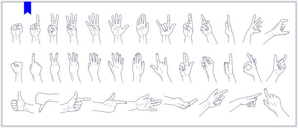 illustrazioni stock, clip art, cartoni animati e icone di tendenza di set di contorni di mani umane, segni e gesti illustrazioni vettoriali isolate su uno sfondo bianco - pizzicare illustrazioni