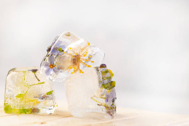 istock Transparent ice cubes with frozen flowers inside. 1250189840