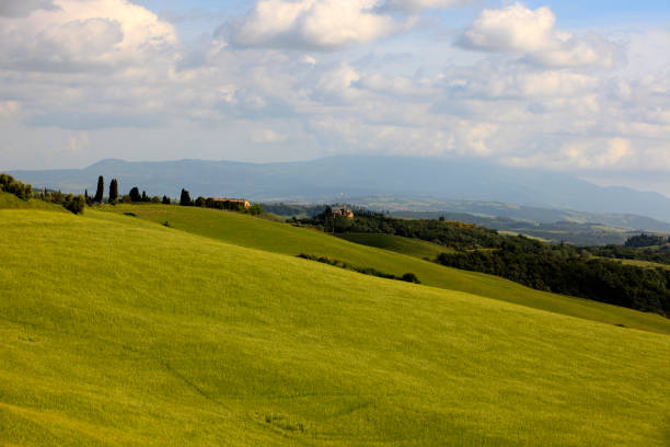 istock Typical scenary of Crete Senesi 1250189990