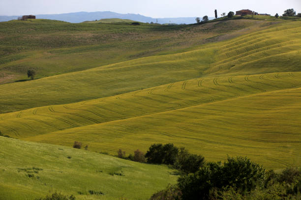 istock Typical scenary of Crete Senesi 1250190243