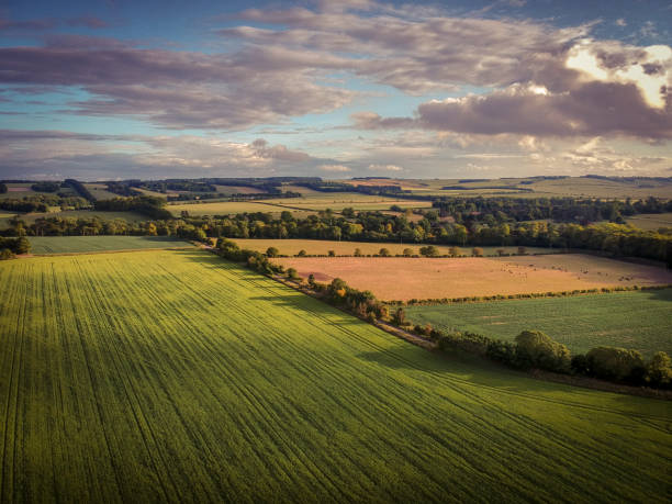 istock Rural oxfordshire Countryside UK 1250190284