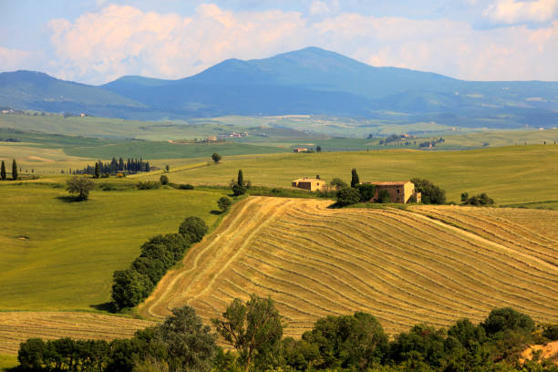 istock Typical scenary of Crete Senesi 1250191490