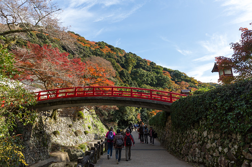 People at the Minoo Park in Osaka, Japan. It is a forested valley on the outskirts of Osaka. During the fall, it is one of the best places in the Kansai Region to see the autumn colours.