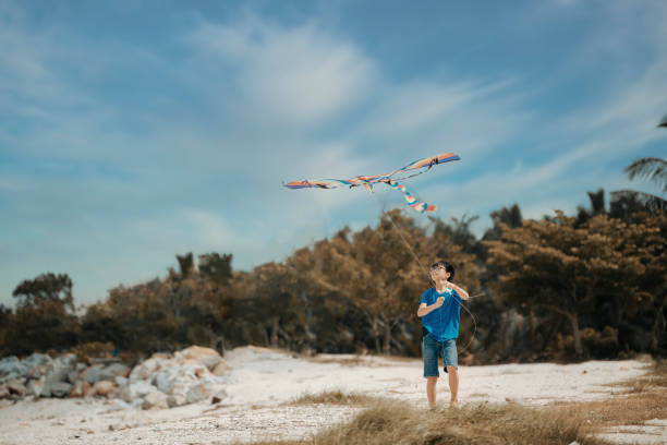 istock an asian chinese boy playing and flying kite at beach 1250199262