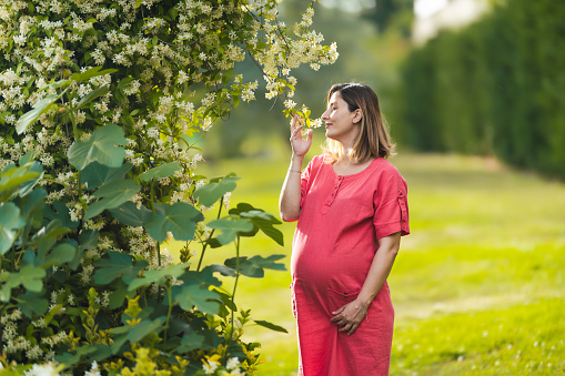 Young Pregnant woman smelling jasmine in garden