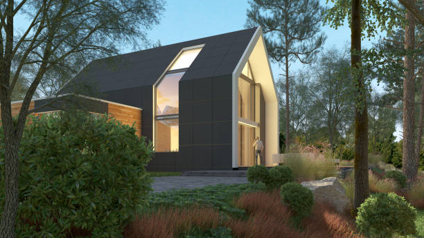 istock Modern pitched roof house in nature 1250200913