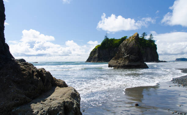 istock Basalt rocks at Ruby beach during low tide, Olympic National Park, Washington 1250203436