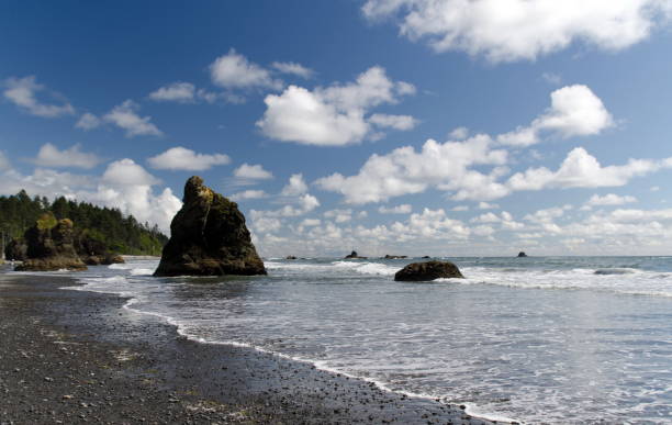 istock Basalt rocks at Ruby beach during low tide, Olympic National Park, Washington 1250203483