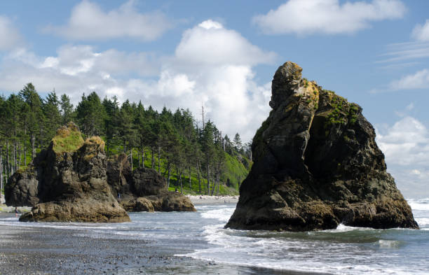Basalt rocks at Ruby beach during low tide, Olympic National Park, Washington stock photo