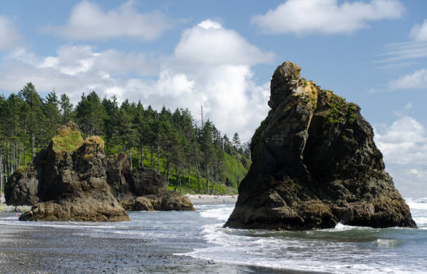 basalto balança na praia de ruby durante a maré baixa, parque nacional olímpico, washington - olympic national park - fotografias e filmes do acervo